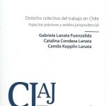 Derecho Colectivo del Trabajo en Chile. Aspectos Prácticos y Análisis Jurisprudencial