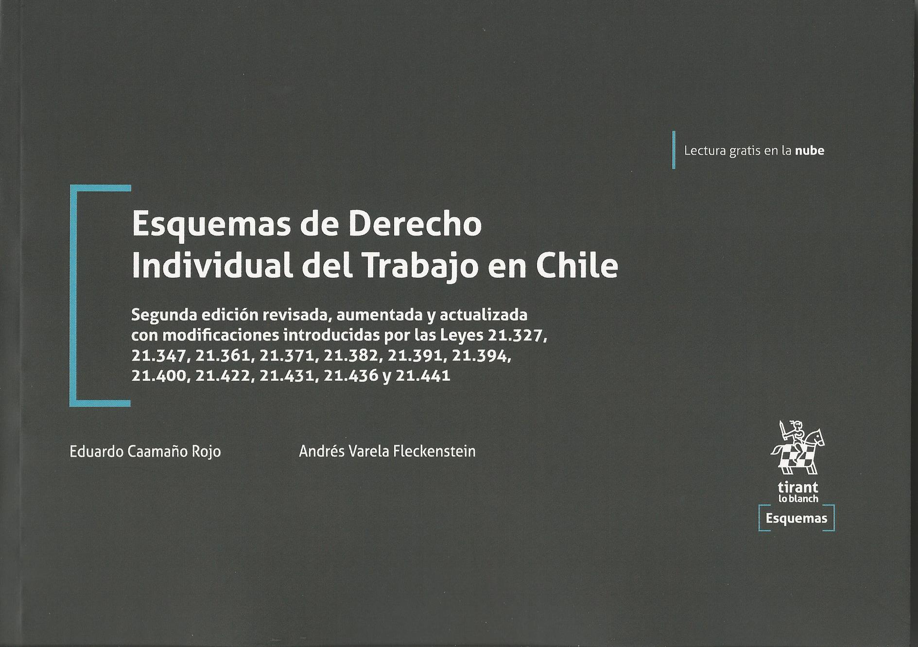 Esquemas de Derecho Individual del Trabajo en Chile, 2° Edición