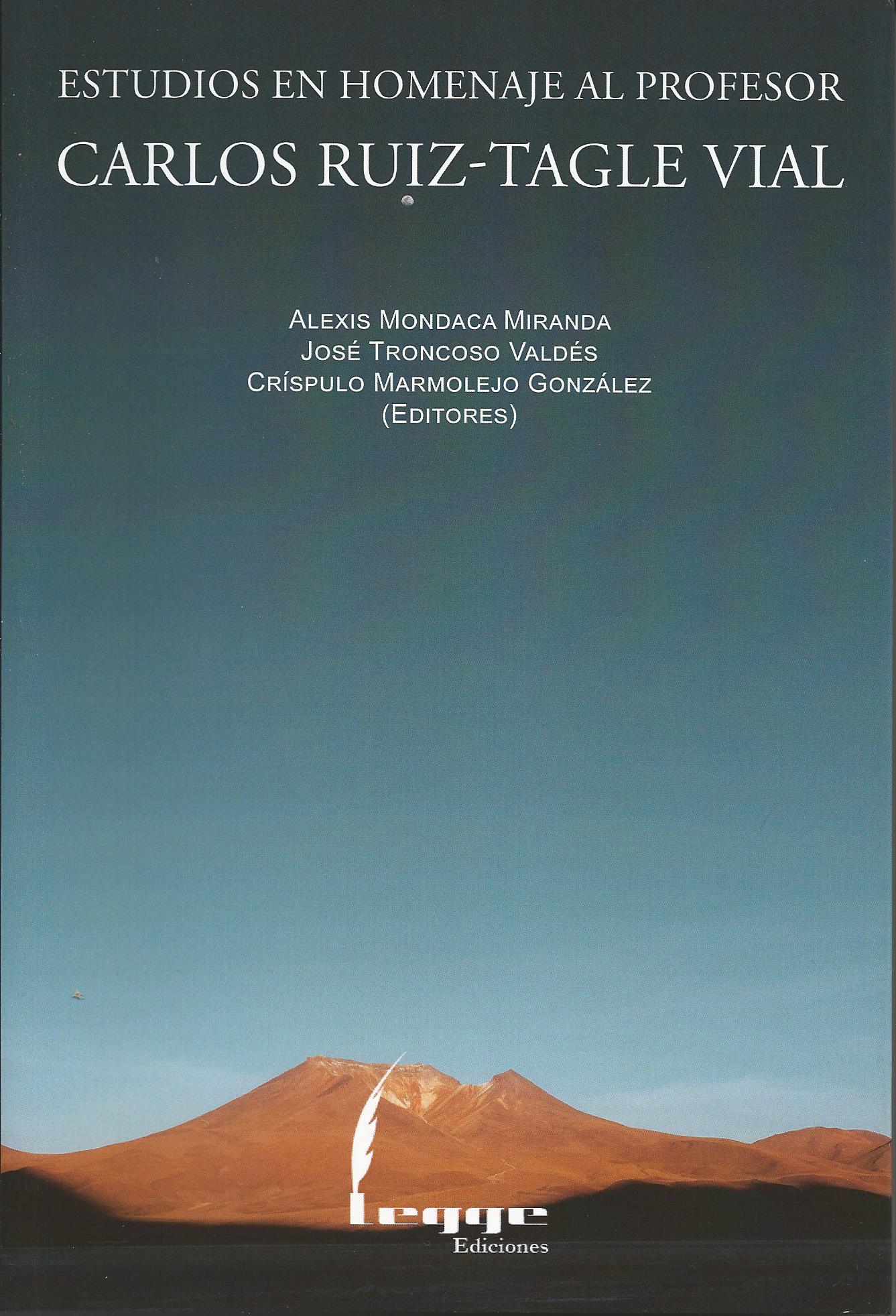 Estudios en Homenaje al Profesor Carlos Ruiz - Tagle Vial