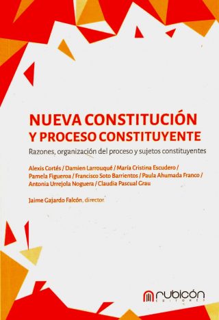 Nueva Constitución y Proceso Constituyente