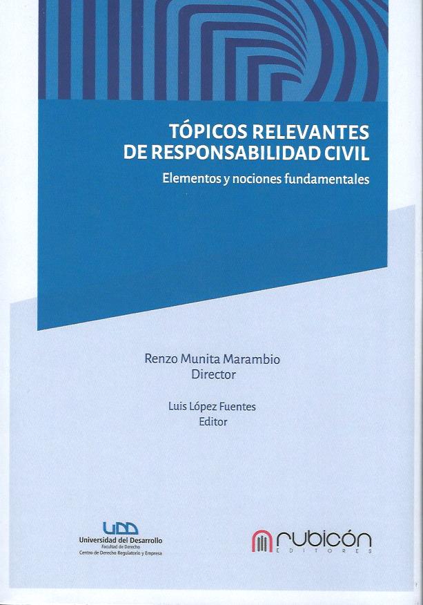 Tópicos Relevantes de Responsabilidad Civil, Elementos y Nociones Fundamentales