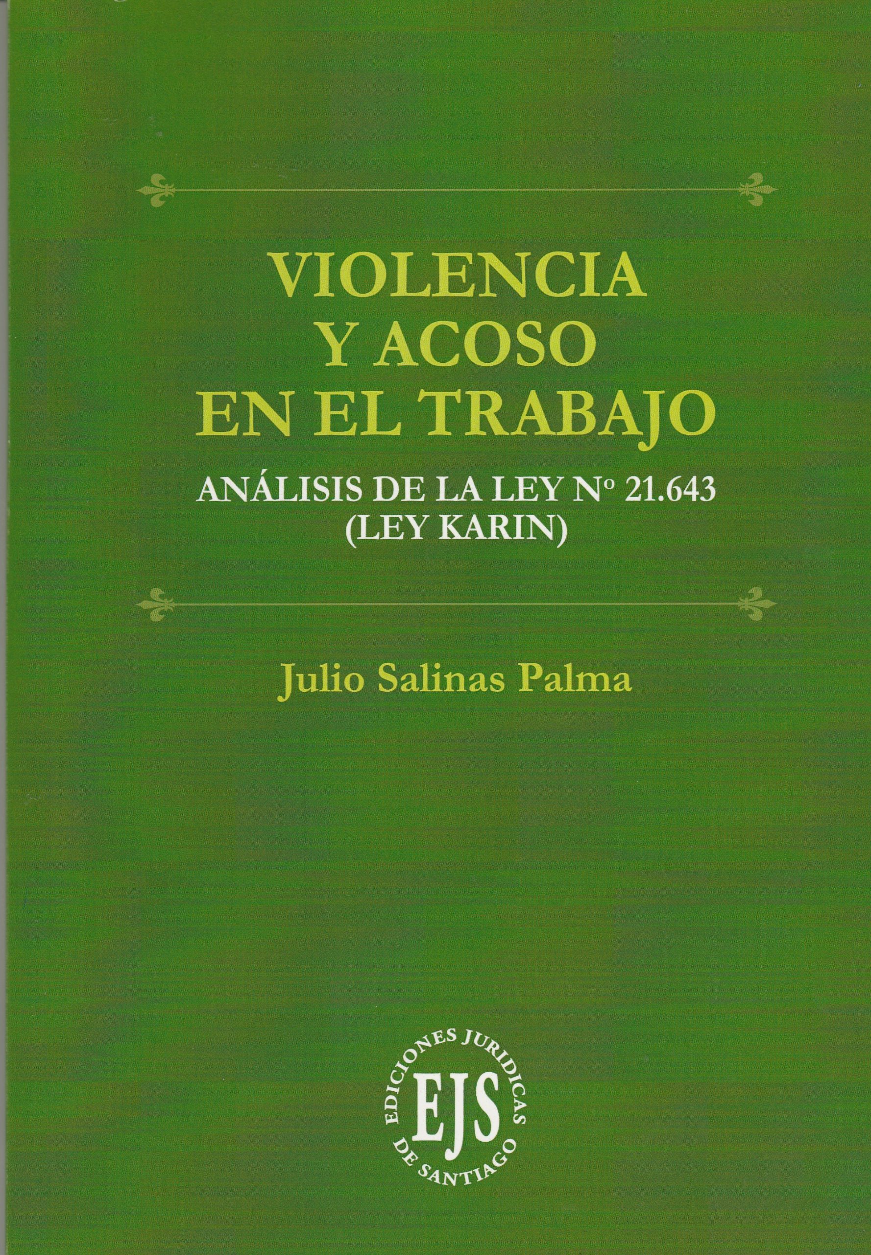 Violencia y Acoso en el Trabajo. Análisis de la Ley N° 21.643 (Ley Karin)