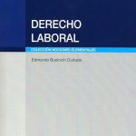Derecho Laboral. Colección Nociones Elementales