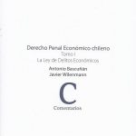 Derecho Penal Económico Chileno. Tomo I, La Ley de Delitos Económicos