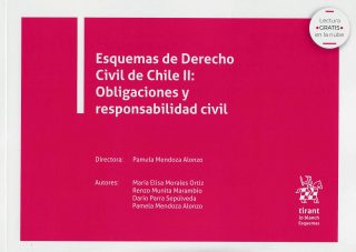 Esquemas de Derecho Civil de Chile II: Obligaciones y Responsabilidad Civil