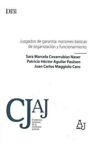 Juzgados de Garantía: Nociones Básicas de Organización y Funcionamiento