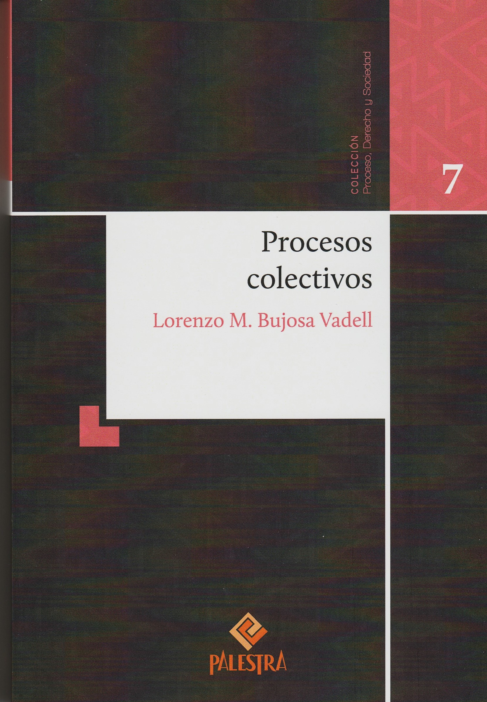 Procesos Colectivos N° 7