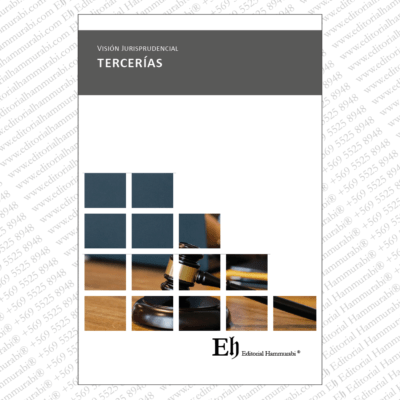Vision Jurisprudencial, Tercerías