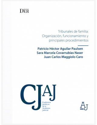 Tribunales de Familia: Organización, Funcionamiento y Principales Procedimientos