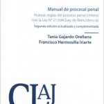Manual de Procesal Penal. Nuevas Reglas del Procesal Penal Chileno tras la Ley N° 21.694 (Ley de Reincidencia) 2°Edición Actualizada