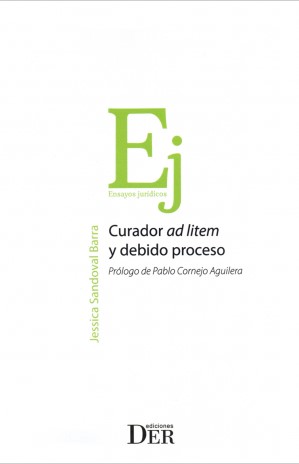 Curador Ad Litem y Debido Proceso